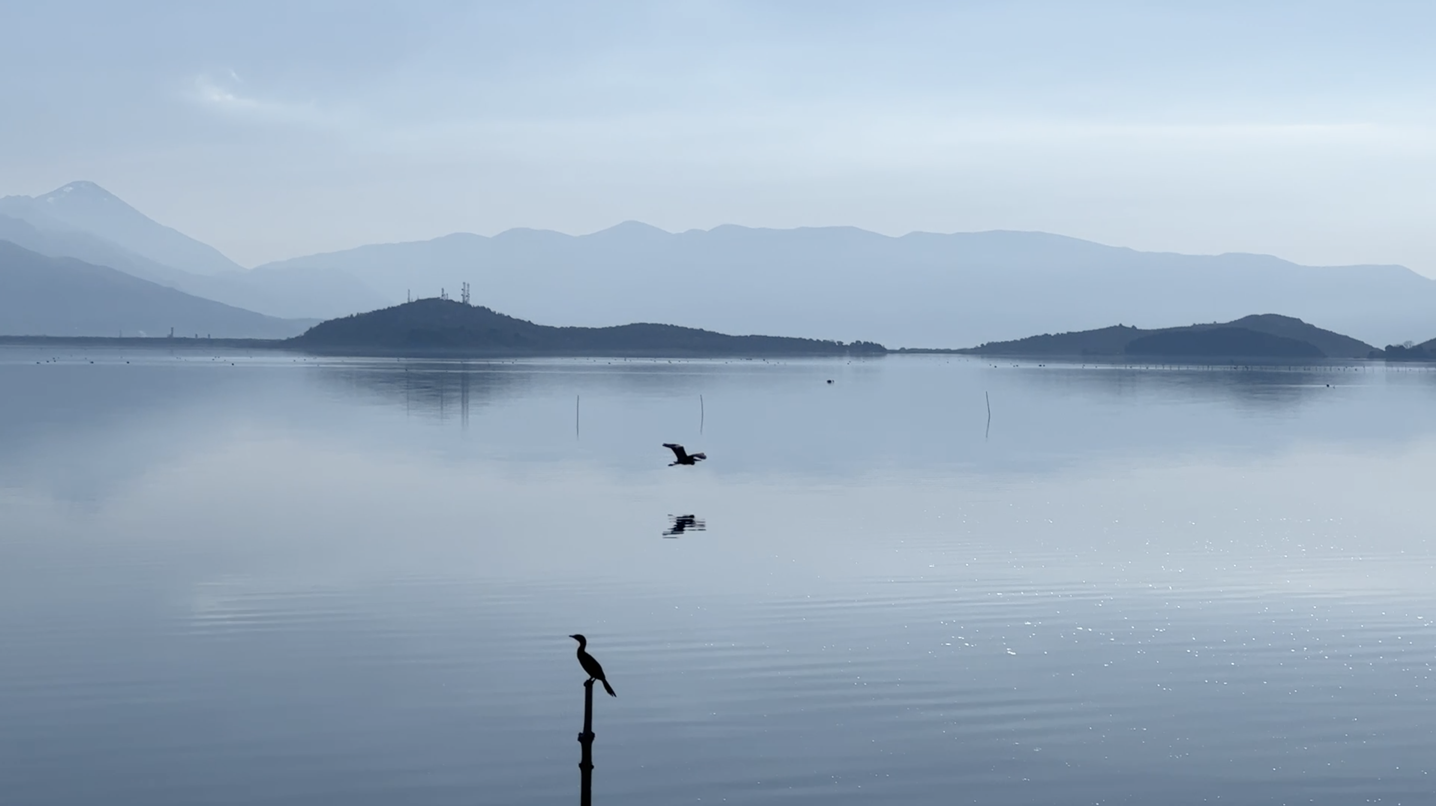 Face au projet d’aéroport de Vlora, la colère des associations environnementales